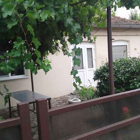 Pensiunea Casa Didina 바커우 외부 사진