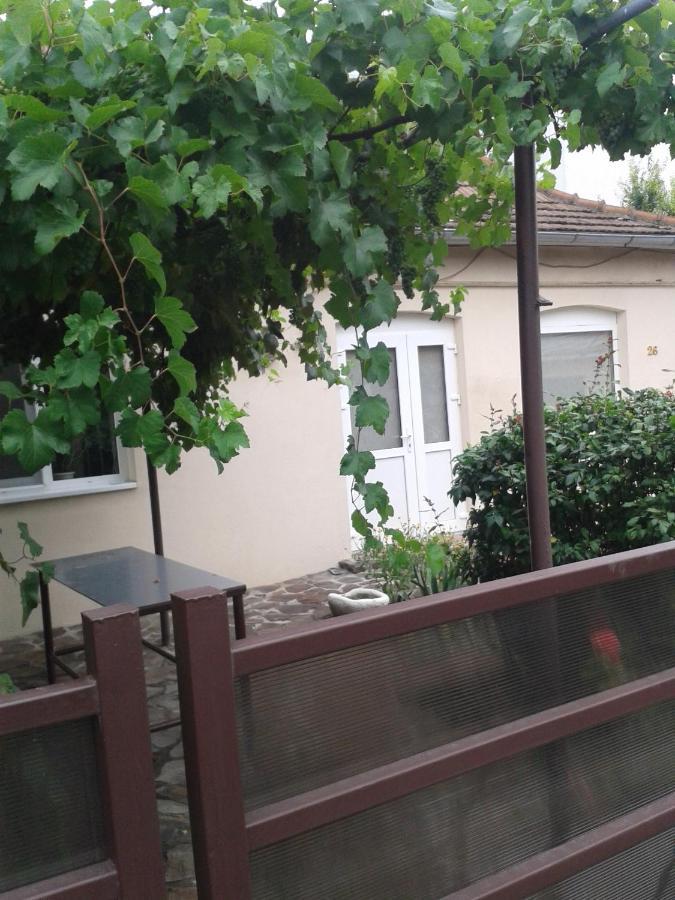 Pensiunea Casa Didina 바커우 외부 사진