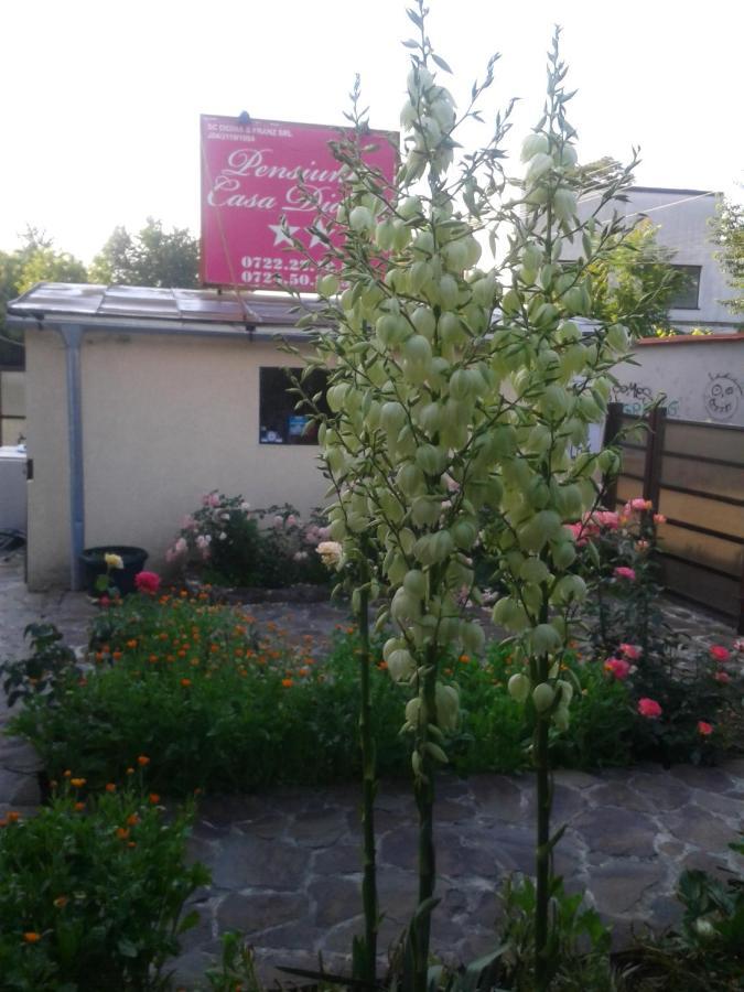 Pensiunea Casa Didina 바커우 외부 사진